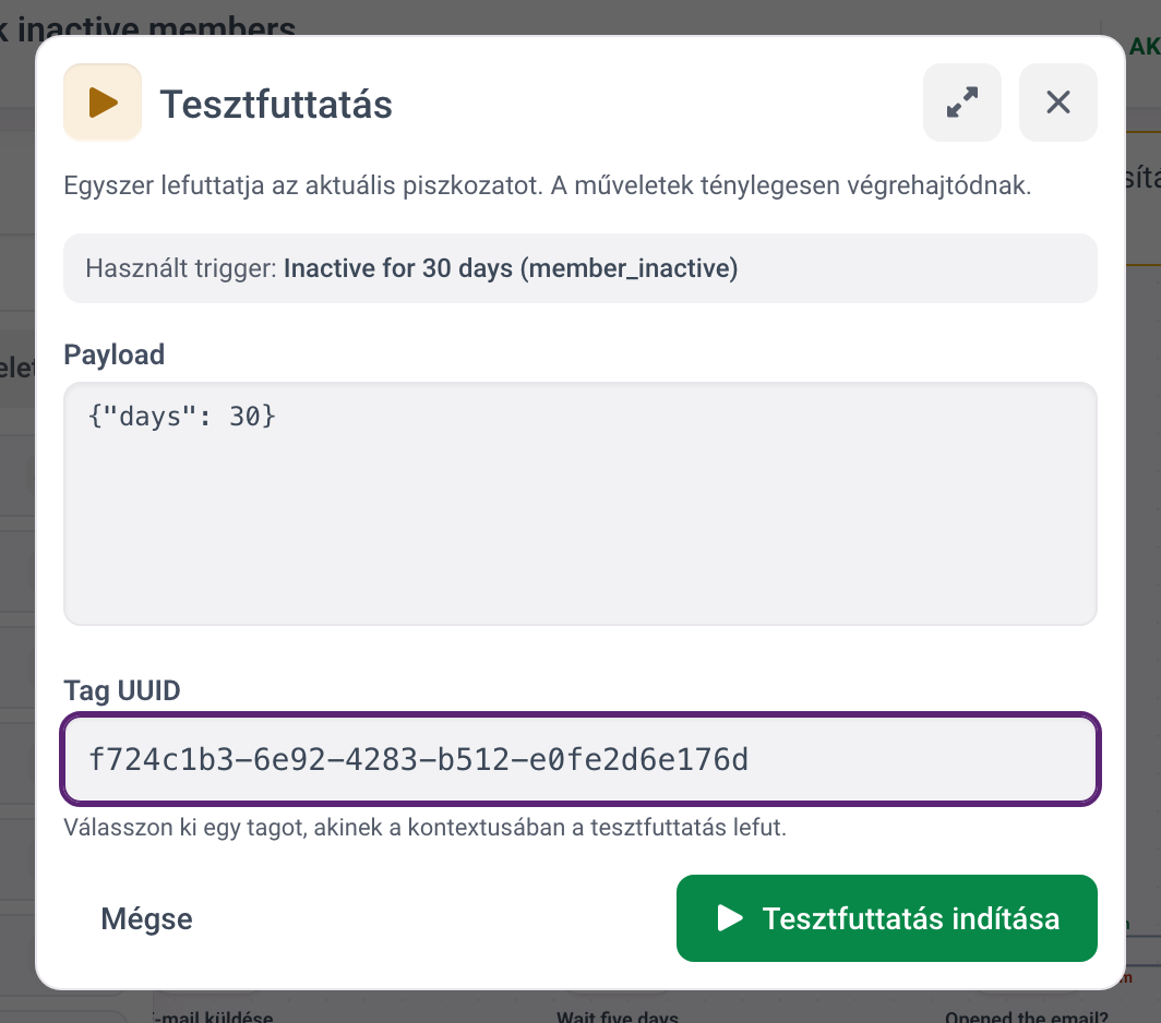 A Tesztfuttatás párbeszédablak a JSON formátumú payloaddal és a kitöltött Tag UUID mezővel, indításra készen.